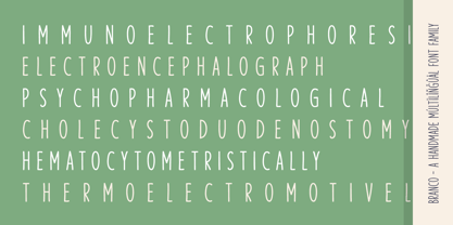 Branco Font Poster 11