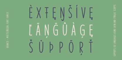 Branco Font Poster 4