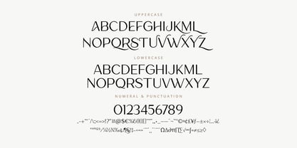 Lamora Font Poster 11
