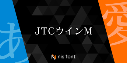 OT-NIS_M Font Poster 1