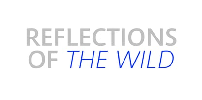 Kootenay Variable Font Poster 7