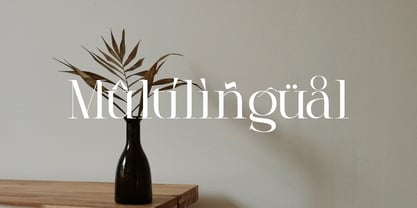 Morvielle Font Poster 11