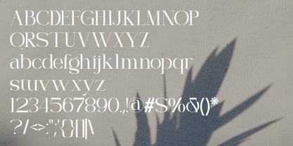 Morvielle Font Poster 10