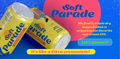 Chaparrita Font Poster 7