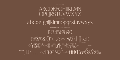 Casselin Font Poster 7