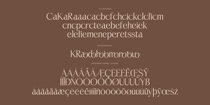 Casselin Font Poster 8
