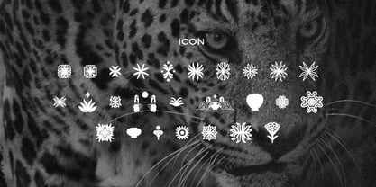 El Pacre Font Poster 6