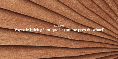 El Pacre Font Poster 10