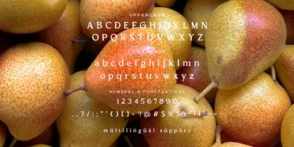 El Pacre Font Poster 8