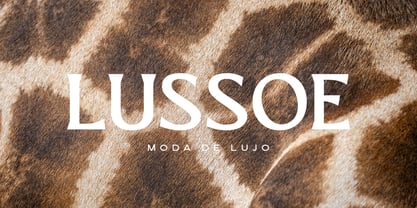 El Pacre Font Poster 4