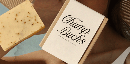 Auralique Script Pro Font Poster 10