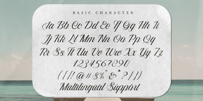 Auralique Script Pro Font Poster 15