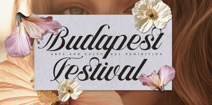 Auralique Script Pro Font Poster 5