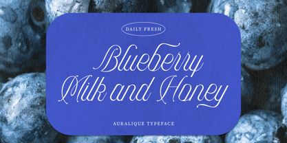 Auralique Script Pro Font Poster 14