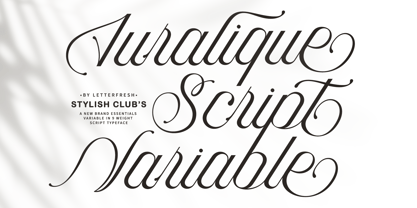 Auralique Script Pro Font Poster 1