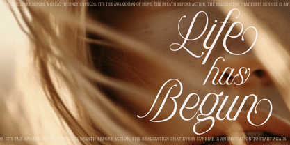 Auralique Script Pro Font Poster 9