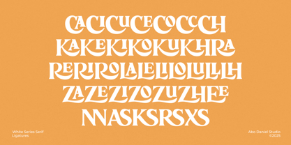 White Series Font Poster 13