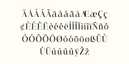 Allure Majestic Font Poster 5