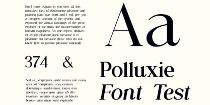 Allure Majestic Font Poster 7