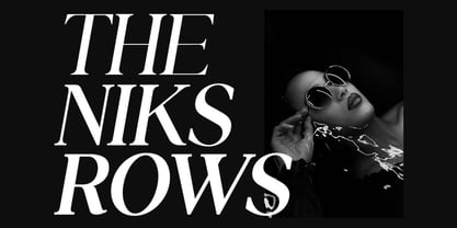 Allure Majestic Font Poster 8