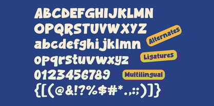 Whoops Sans Font Poster 9