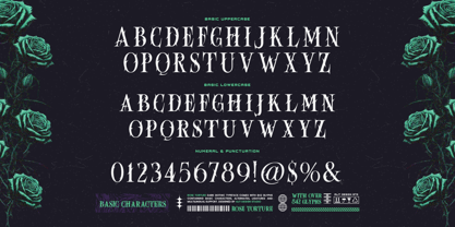 Rose torture Font Poster 5