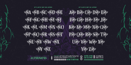 Rose torture Font Poster 9