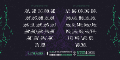 Rose torture Font Poster 10