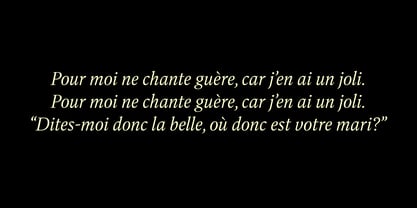 Dashiell Bright Font Poster 5