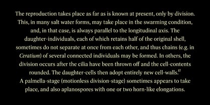 Dashiell Bright Font Poster 7