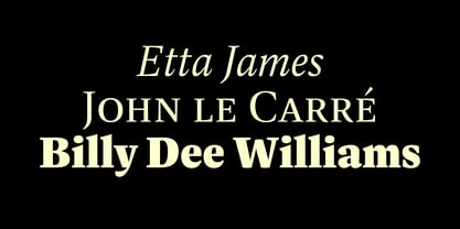 Dashiell Bright Font Poster 4