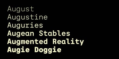 Auger Mono Font Poster 3