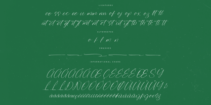 Trekfox Hunter Font Poster 8