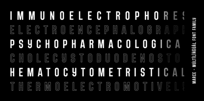 Marce Font Poster 11