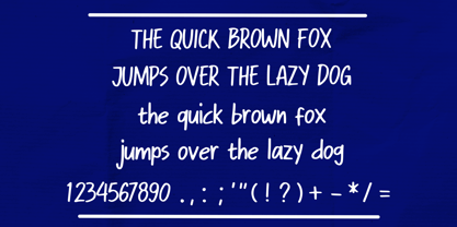 Ballpoint Strokes Font Poster 4