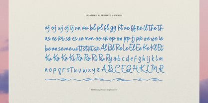 Rapika Logical Font Poster 12