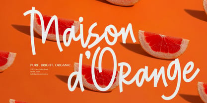 Rapika Logical Font Poster 6
