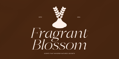 Berloja Satfline Font Poster 3