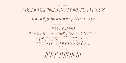 Berloja Satfline Font Poster 8