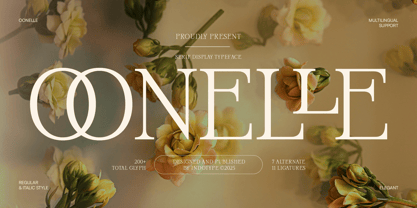 IT Oonelle Font Poster 1
