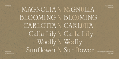 IT Oonelle Font Poster 4