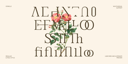 IT Oonelle Font Poster 5