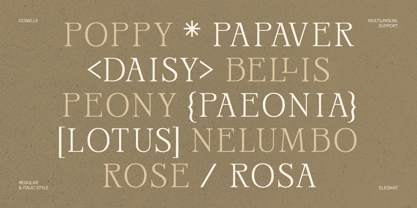 IT Oonelle Font Poster 2