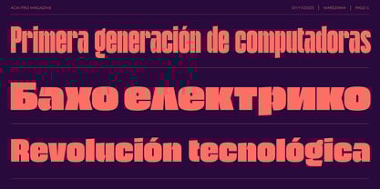 Acai PRO Font Poster 3