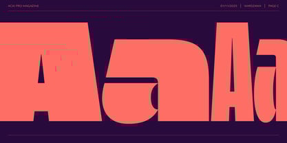Acai PRO Font Poster 9