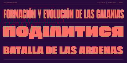 Acai PRO Font Poster 7