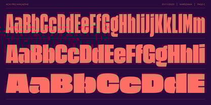 Acai PRO Font Poster 5