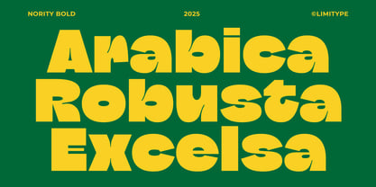 Nority Font Poster 3