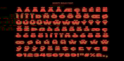 Nority Font Poster 12