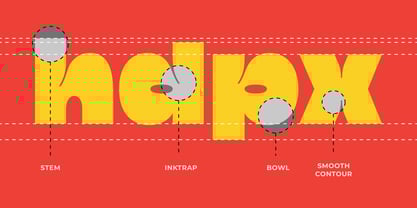 Nority Font Poster 4